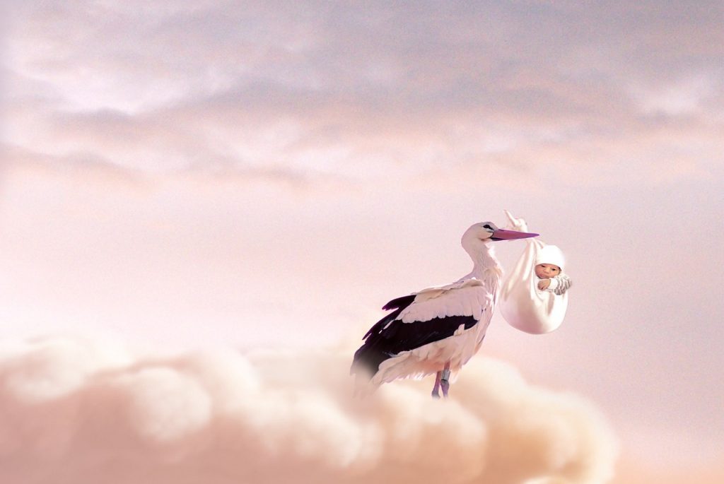 baby and stork