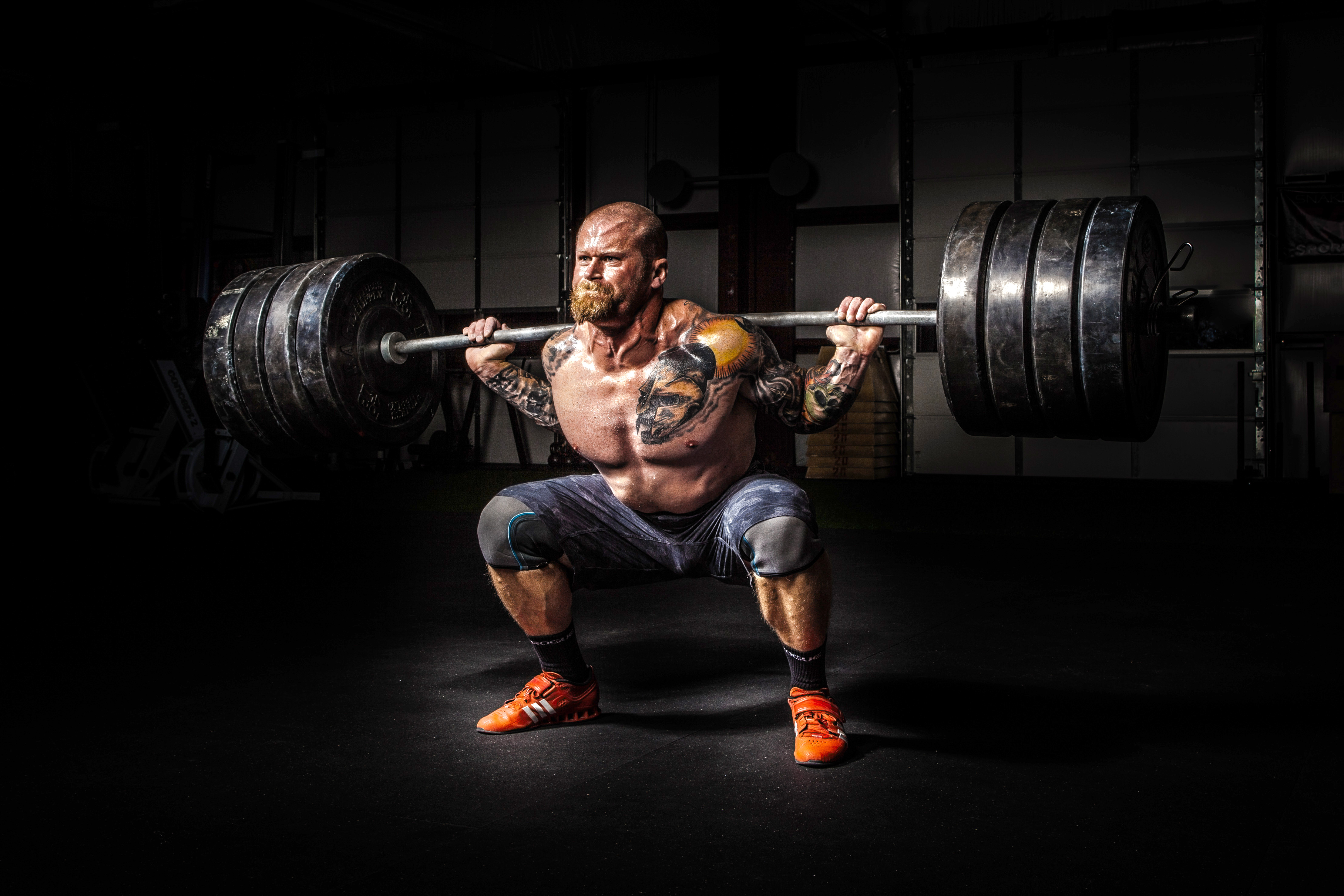 Hero image of Harness the Power of WordPress Frameworks