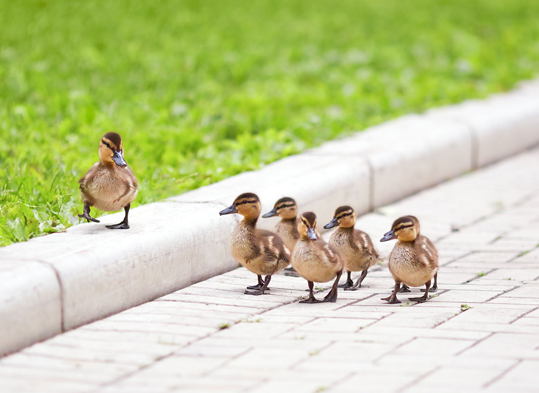 Hero image of Baby Steps For Building Your WordPress WebsiteDon’t Give Hackers a Key: Enable Two-Factor Authentication