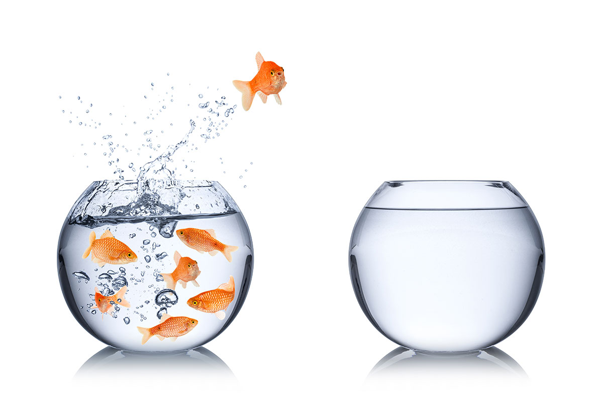 Hero image of 7 Signs It Might Be Time to Change Your Domain Name