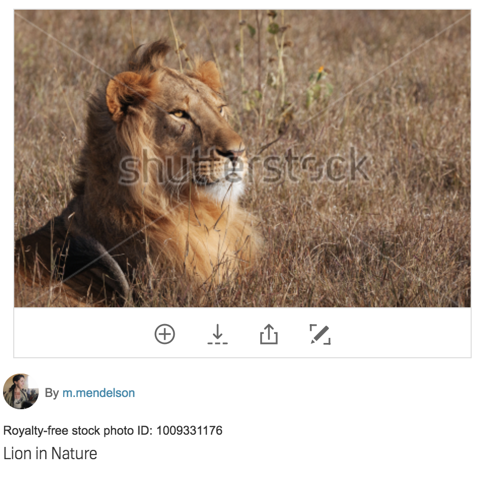 screenshot of a royalty free image