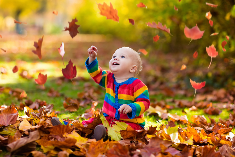 Hero image of Get Inspired by Fall with Great Seasonal DomainsYour Ideal Domain Name Is Taken—Now What?