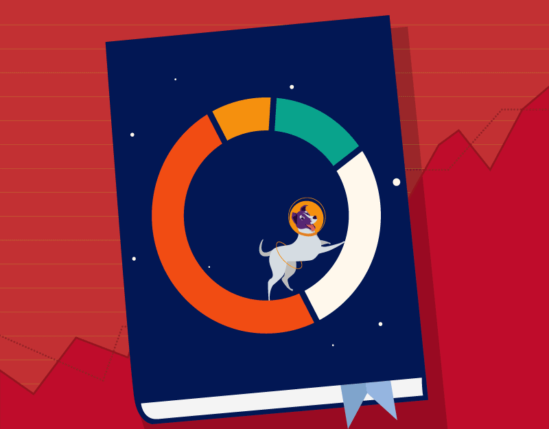 Hero image of Namecheap’s Domain Insights & Trends Report