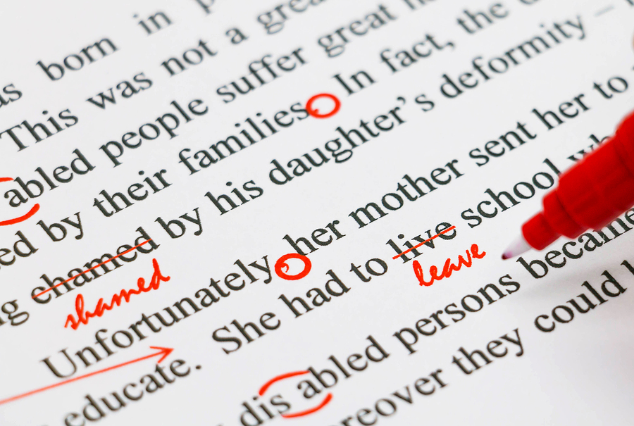 Essay proofreader image