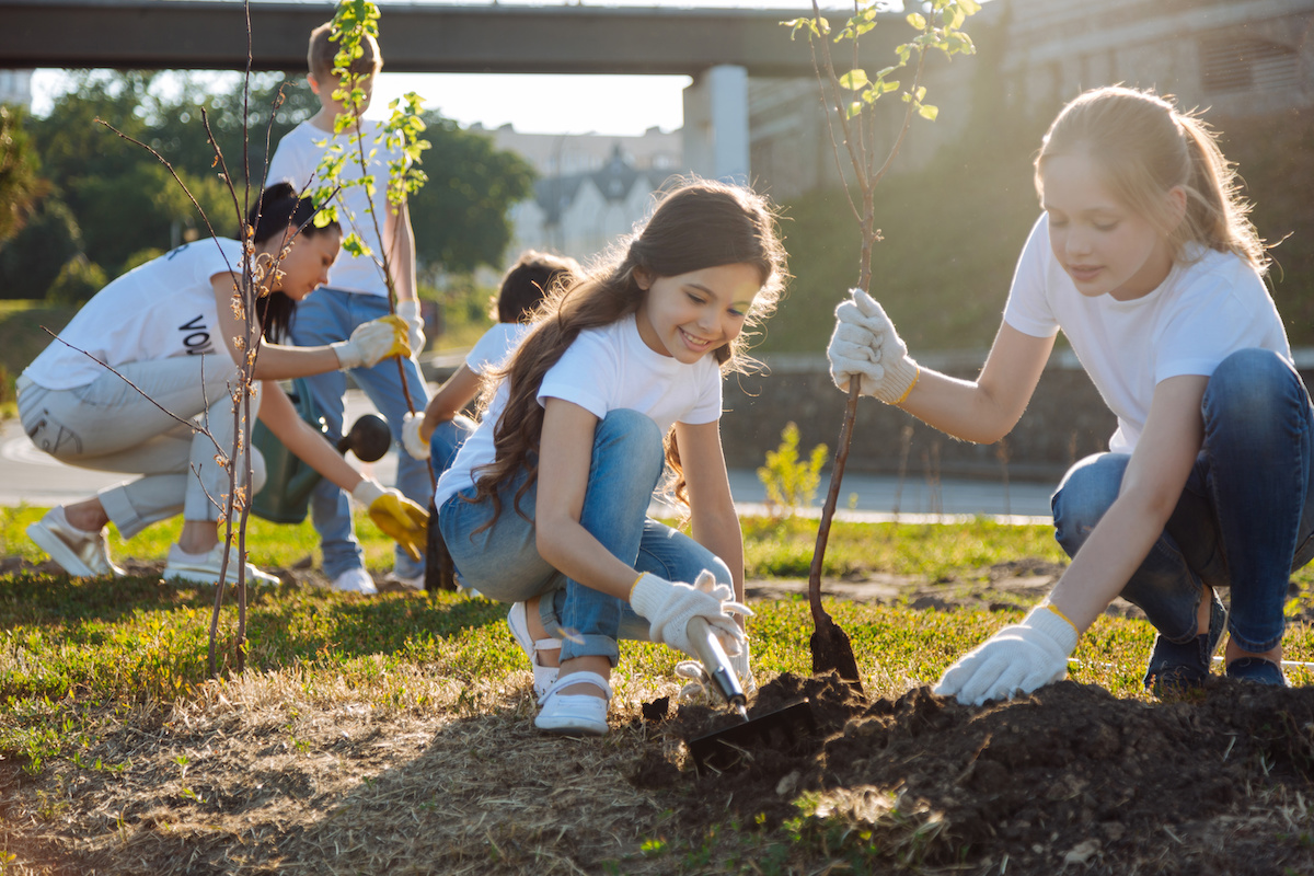 volunteers planting trees