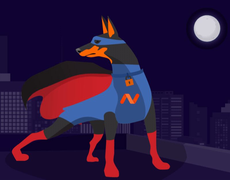 Hero image of Namecheap’s Account and Website Security Features