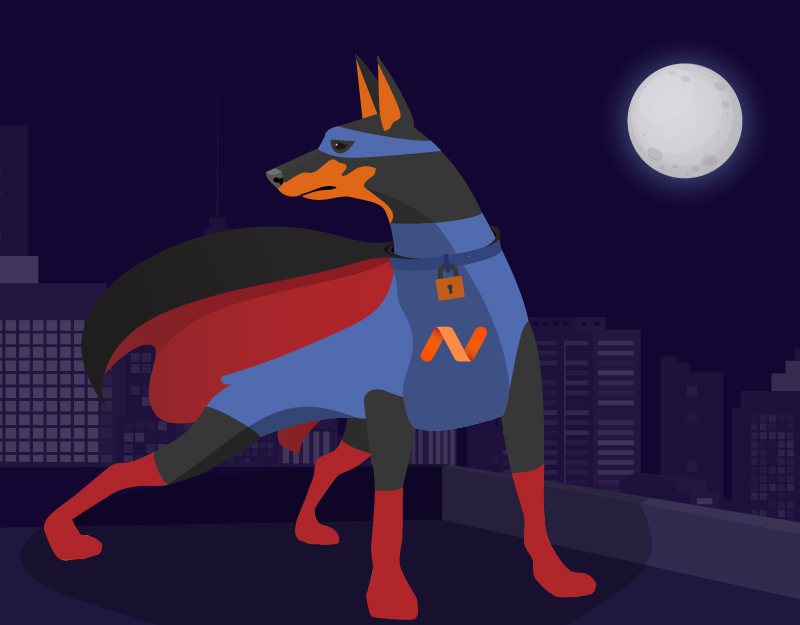 Hero image of Namecheap Keeps You Safe OnlineHow to Write Copy that Google Loves