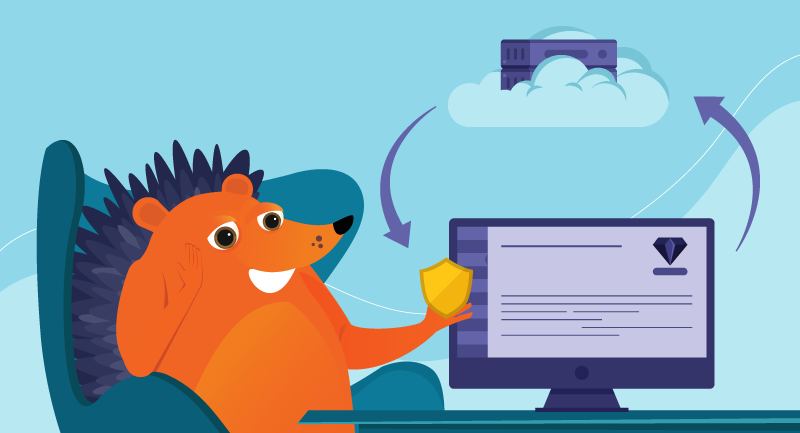 Hero image of Stop Spoof Sites and DNS Danger with One Click