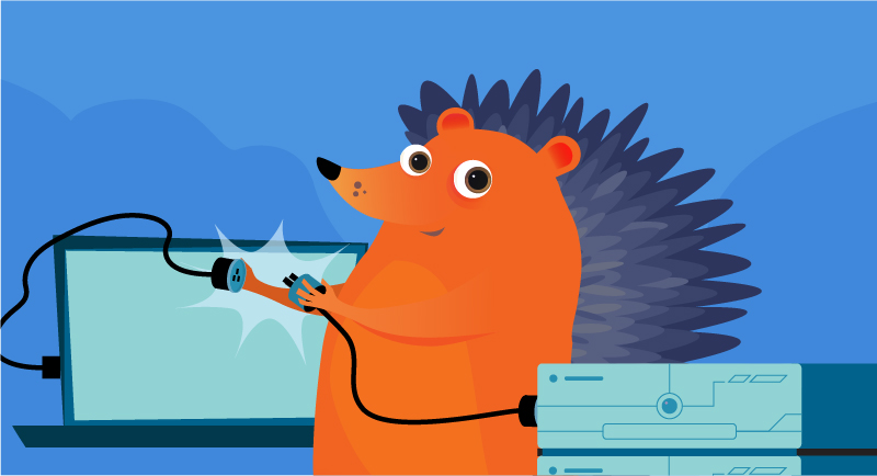 hedgehog unplugging computer
