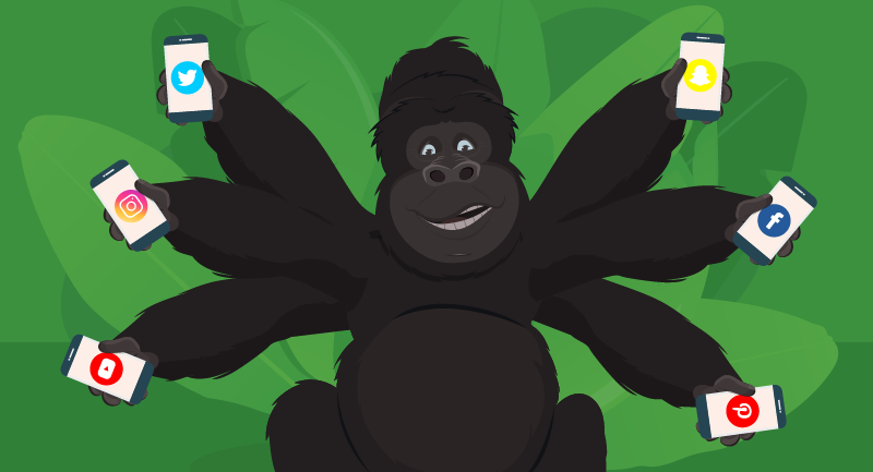 Hero image of Where Should Your Business Be on Social Media?