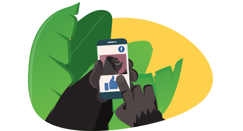 Gorilla on Facebook