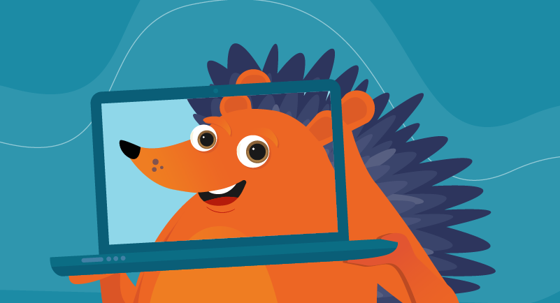Hedgehog on his laptop