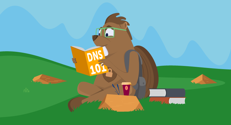 Beaver studying DNS information