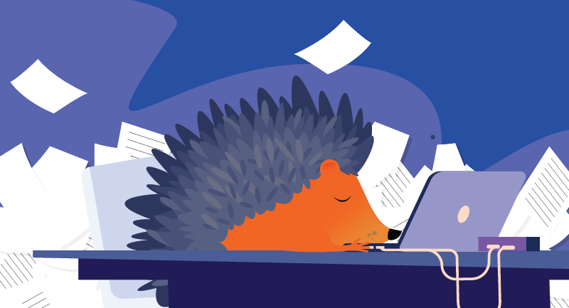 Hedgehog asleep at the laptop