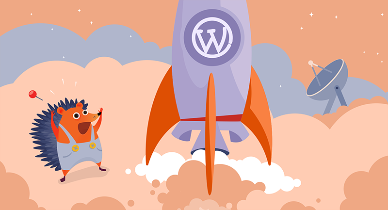 Hero article of You Can Do It! WordPress is Not Rocket Science