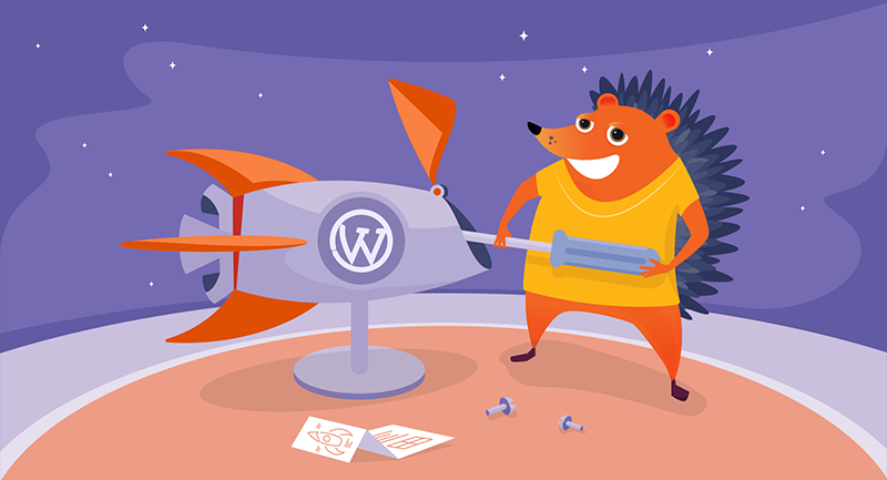 Hedgehog fixing the WordPress rocket