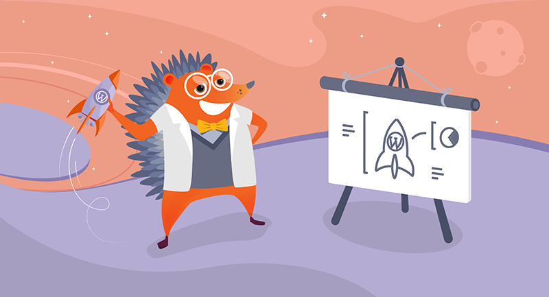 Hedgehog with a rocket diagram
