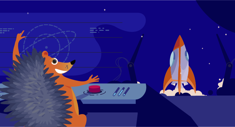 hedgehog at mission control