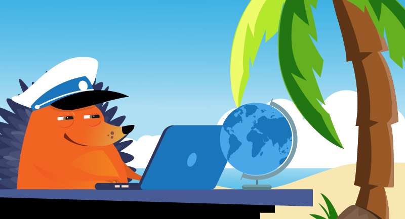Captain hedgehog at his laptop