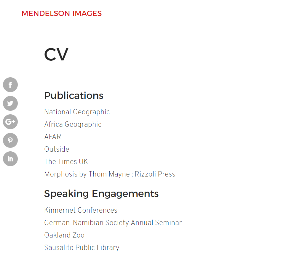 CV example