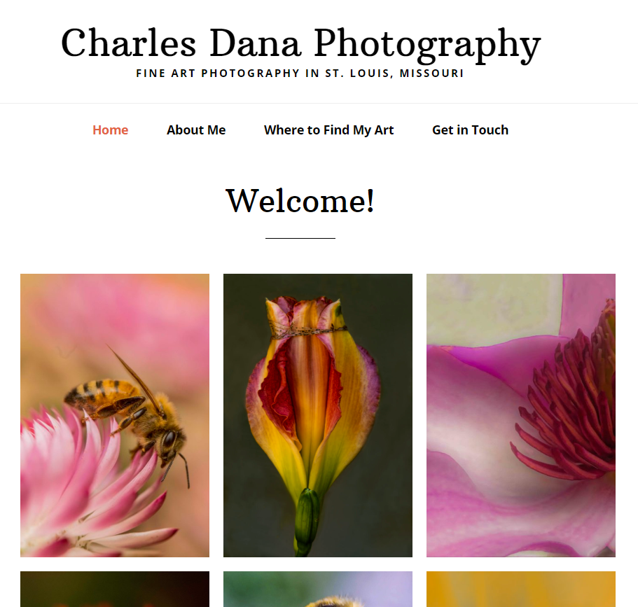 Charles Dana Photography website screenshot