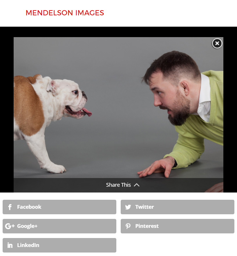 Mendelson Images site