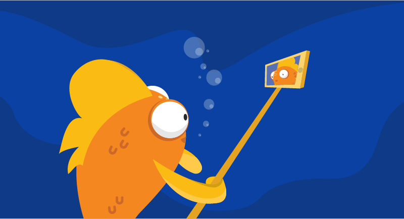 fish using selfie stick