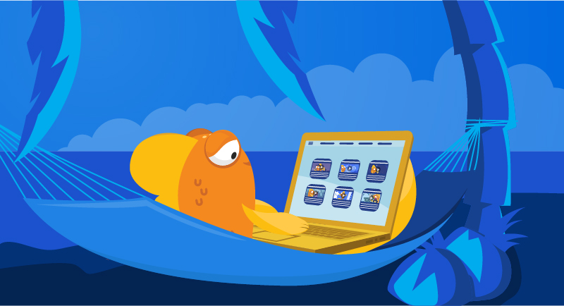 Fish learning on laptop