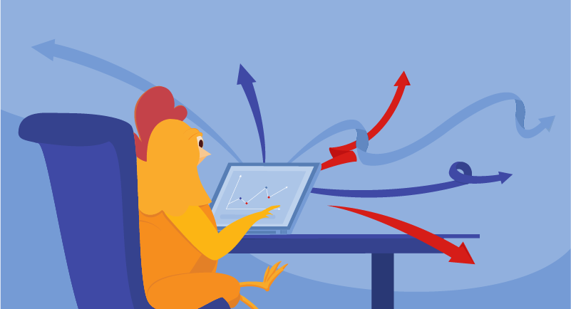Chicken at laptop considering ads