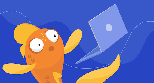 goldfish throwing laptop
