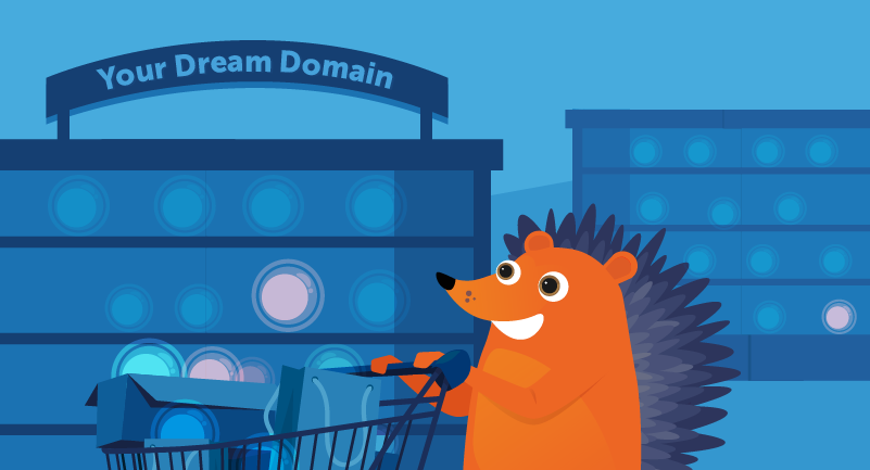 Hero image of How to Land the Domain of Your Dreams
