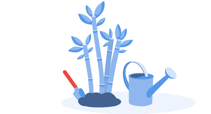 planting a garden