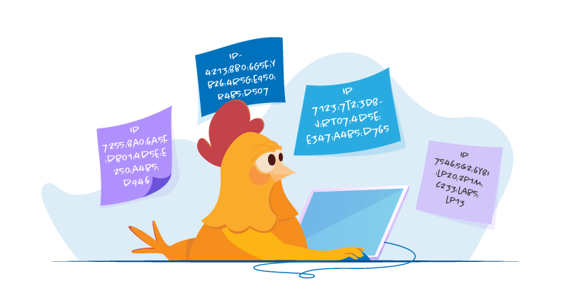 Chicken looking up IP addresses