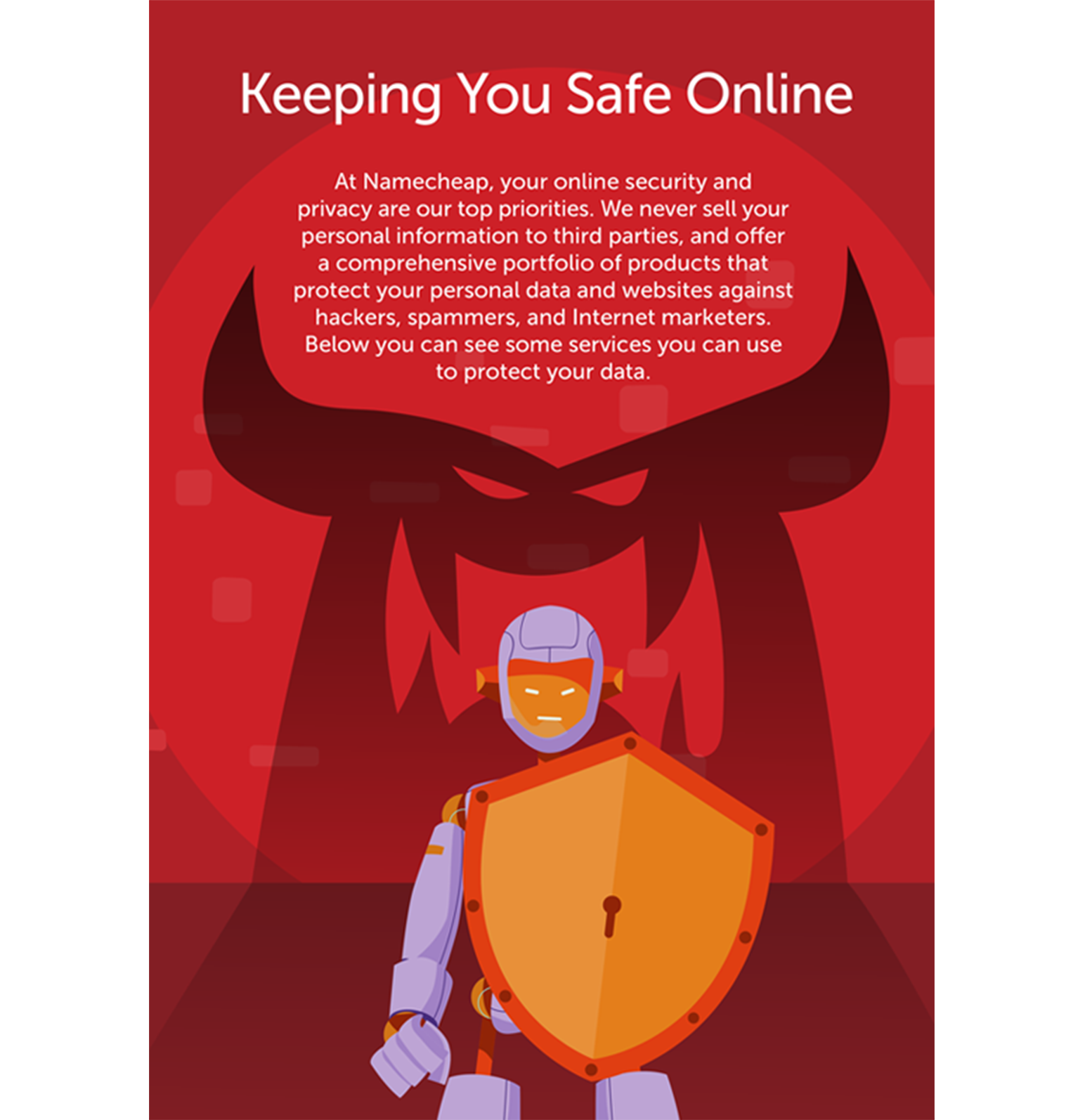 Namecheap graphic about online security