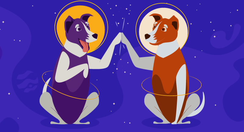 Hero image of A Tale of Two NewslettersComing Together While Staying Apart