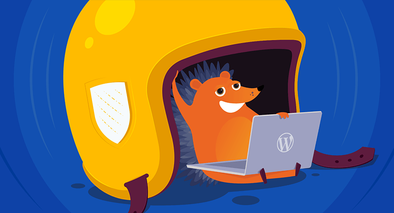 Hero image of A smart guy’s guide to securing WordPress