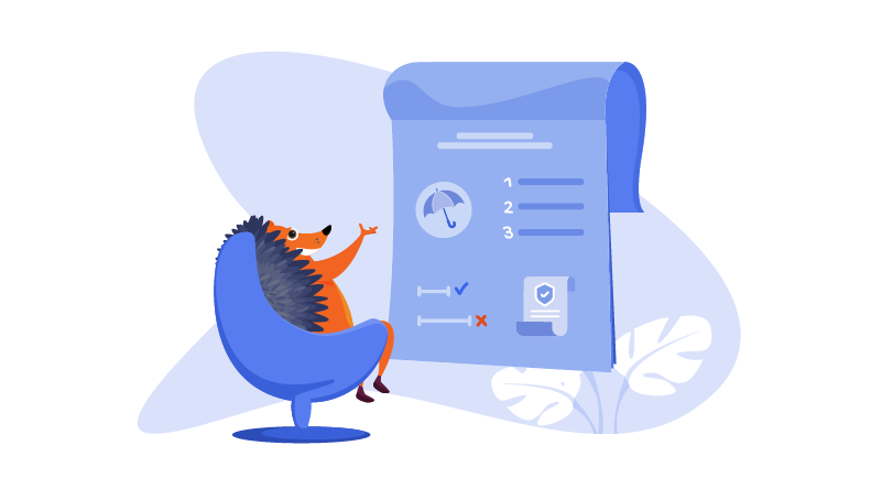 hedgehog in front of website plan