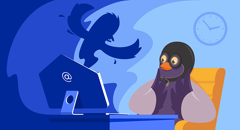 Hero image of How to avoid Business Email Compromise fraudThe 5 Best WordPress Video Themes