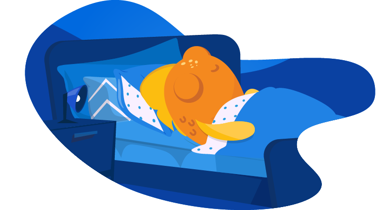 fish sleeping in a bed