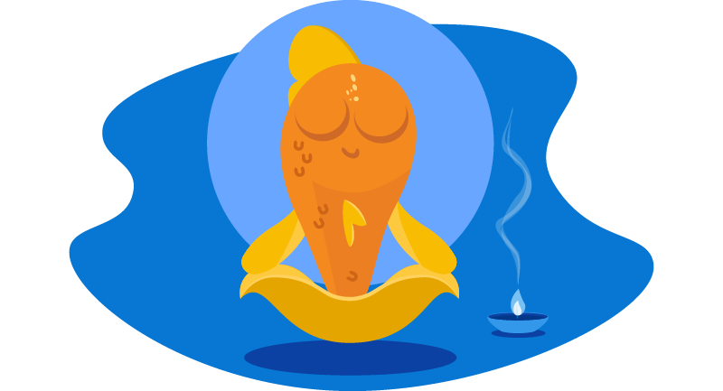 fish meditating