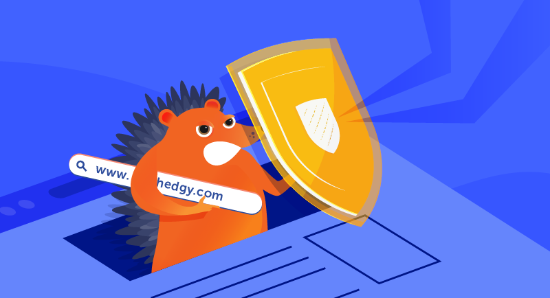 Hero image of How to Prevent Domain Hijacking and Cyber Attacks