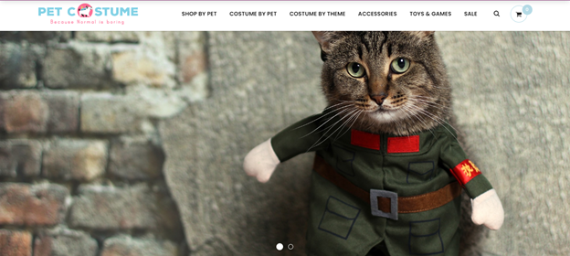 screenshot of petcostume.store
