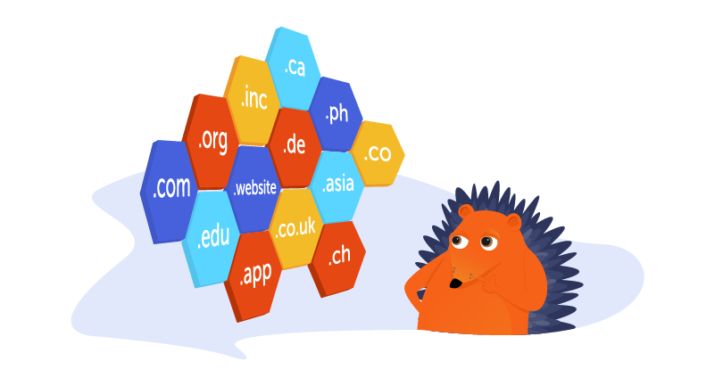 Hedgehog looking at different domain name extensions