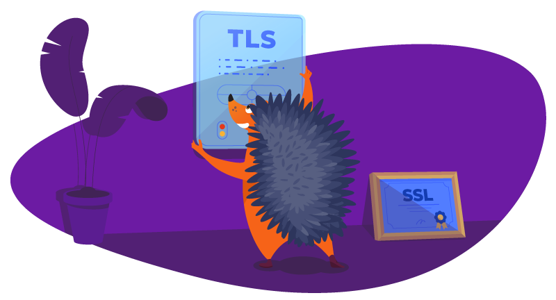 Hedgehog learning about TLS
