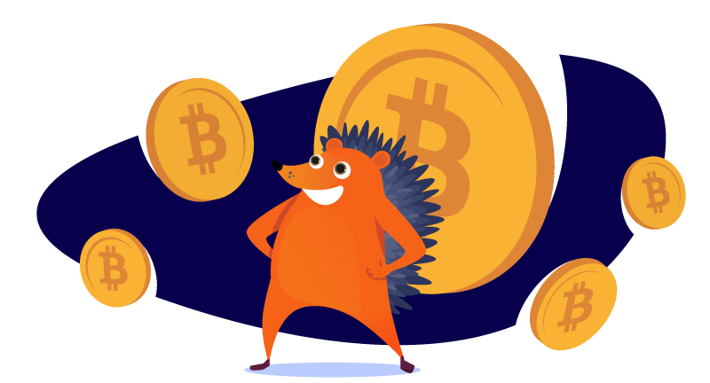 Hero image of Namecheap Now Accepts Bitcoin