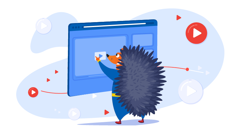hedgehog uploading video from personal training class to YouTube