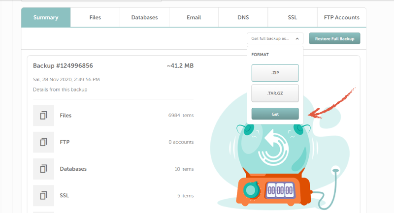 screenshot of backup format options