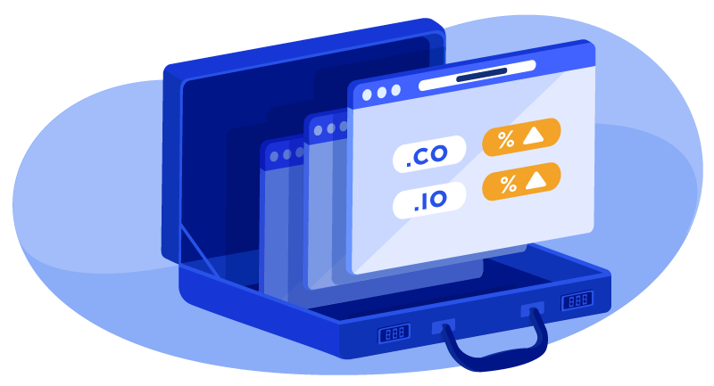 .co and .io domains in a briefcase