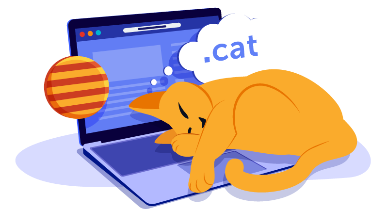 cat laying on laptop dreaming of domain