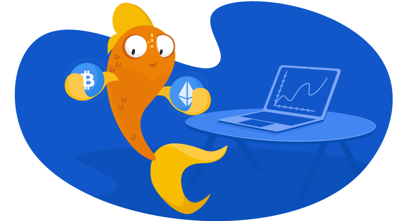 Namecheap investing fish